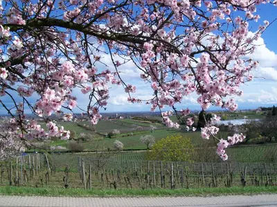 Naturlandschaft in der Nähe der Ferienwohnung