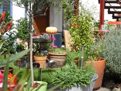 Ein Garten an der Unterkunft Loblocher Max und Moritz