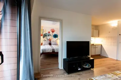 TV/Unterhaltungsangebot in der Unterkunft FESTWIESE - modernes Apartment nahe Neustadter Innenstadt