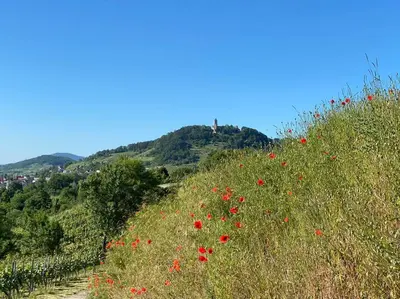 Naturlandschaft in der Nähe der Ferienwohnung
