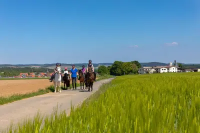 Naturlandschaft in der Nähe der Ferienwohnung