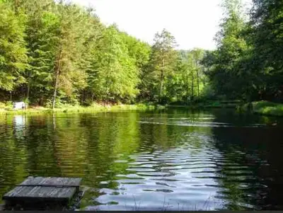 Naturlandschaft in der Nähe der Ferienwohnung