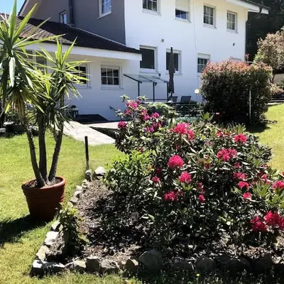 Ferienwohnung Braun