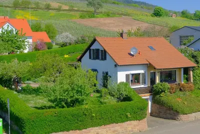 Ein Garten an der Unterkunft Ferienweingut Wissing Wohnung Theo