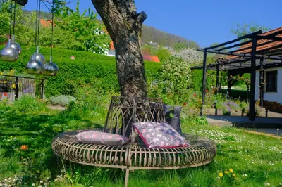 Ein Garten an der Unterkunft Ferienweingut Wissing Wohnung Frieda
