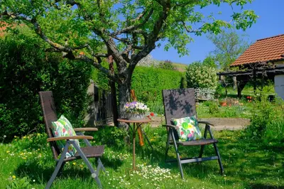 Ein Garten an der Unterkunft Ferienweingut Wissing Wohnung Frieda