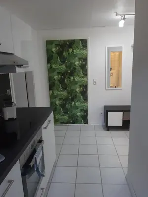 Küche/Küchenzeile in der Unterkunft Ferienwohnung im schönen Zellertal