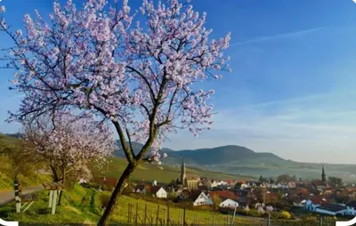 Naturlandschaft in der Nähe der Ferienwohnung