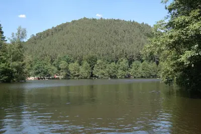 Naturlandschaft in der Nähe der Ferienwohnung