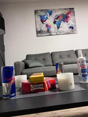 Ein Sitzbereich in der Unterkunft Business Apartment Karlsruhe