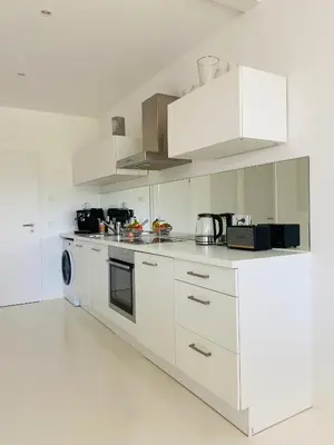 Küche/Küchenzeile in der Unterkunft FeWo Silberberg im Loftstil mit Terrasse