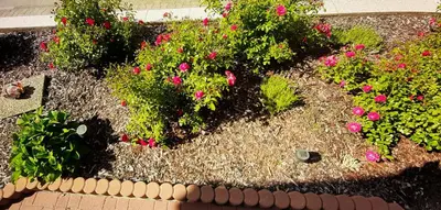 Ein Garten an der Unterkunft Ferienwohnung Unterm Schloss bei Inge