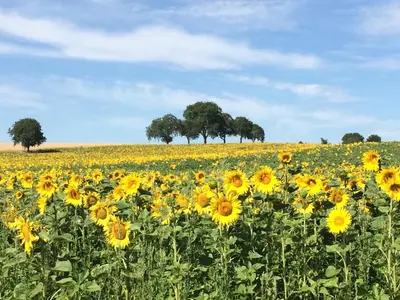 Naturlandschaft in der Nähe des Ferienhauses