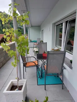 Ein Balkon oder eine Terrasse in der Unterkunft Ferienwohnung Unterm Rappenfels