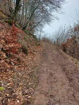 Naturlandschaft in der Nähe der Ferienwohnung