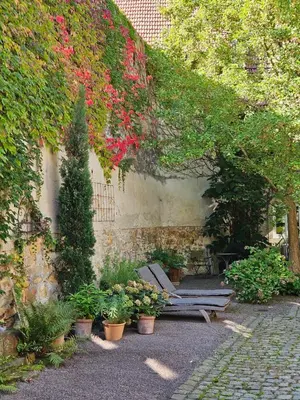 Ein Garten an der Unterkunft Neue Dachwohnung im Herzen von Gönnheim