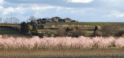 Naturlandschaft in der Nähe der Ferienwohnung