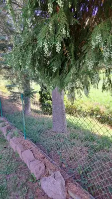 Ein Garten an der Unterkunft Ferienwohnung in der Grünheck