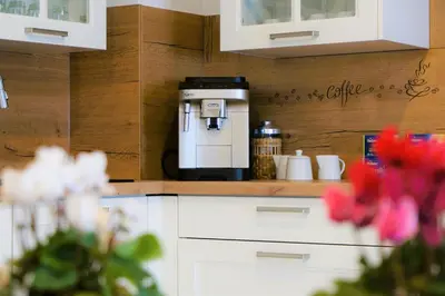 Küche/Küchenzeile in der Unterkunft Mein Apartment Flowers mit Kamin, bis 10 Personen