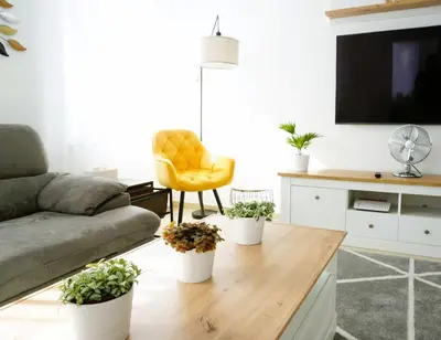 TV/Unterhaltungsangebot in der Unterkunft Mein Apartment Flowers mit Kamin, bis 10 Personen