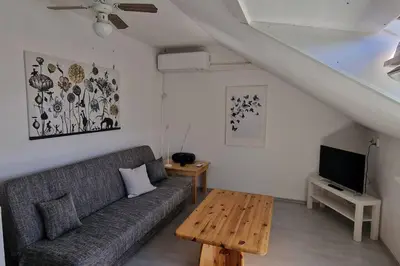 TV/Unterhaltungsangebot in der Unterkunft Schöne, helle 3 Zimmer mit Klimaanlage