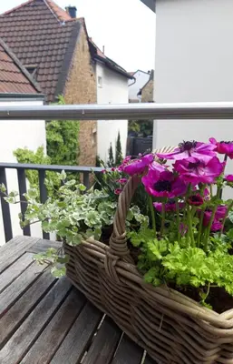 Ein Balkon oder eine Terrasse in der Unterkunft Die Französin - Ingo Telschow & Catherine Tempier Gbr