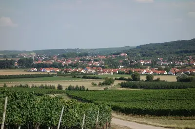 Naturlandschaft in der Nähe der Ferienwohnung