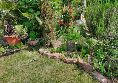 Ein Garten an der Unterkunft Neugärten