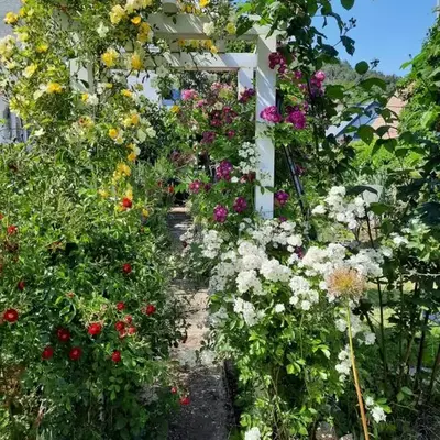 Neugärten