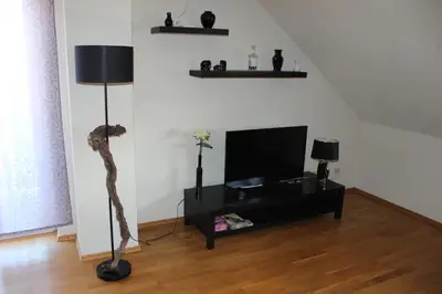 TV/Unterhaltungsangebot in der Unterkunft Ferienwohnung am Schoosberg, Niederkirchen bei Deidesheim