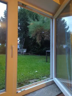 Ein Garten an der Unterkunft L8 Street Ladenburg Mannheim - Mitarbeiterwohnung zum Bestpreis finden