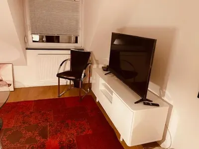 TV/Unterhaltungsangebot in der Unterkunft Casa Neuenheim