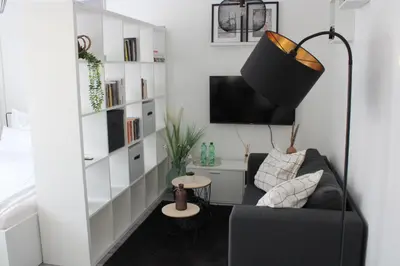 TV/Unterhaltungsangebot in der Unterkunft Schickes Appartement an der Neckarpromenade