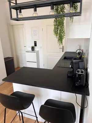 Küche/Küchenzeile in der Unterkunft Modernes Apartment Karlsruhe