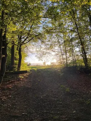 Naturlandschaft in der Nähe des Ferienhauses