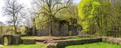 Ein Garten an der Unterkunft Landhotel Lortz