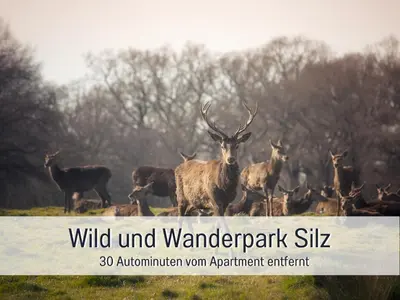 Tiere in der Ferienwohnung oder in der Nähe