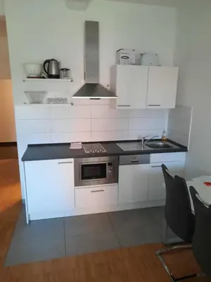Küche/Küchenzeile in der Unterkunft Apartment Nordbergstrasse