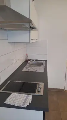Küche/Küchenzeile in der Unterkunft Apartment Nordbergstrasse