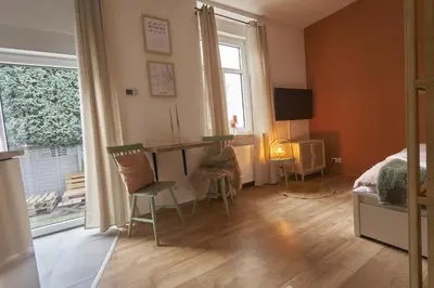 TV/Unterhaltungsangebot in der Unterkunft Coole Altbau-WE 1-ZKB Terrasse Worms Zentrum
