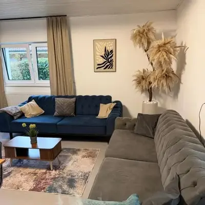 Tiger Apartment