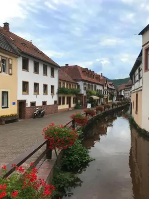 Naturlandschaft in der Nähe der Ferienwohnung