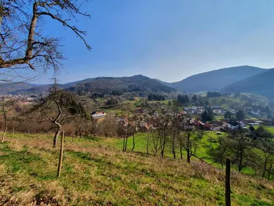 Naturlandschaft in der Nähe der Ferienwohnung