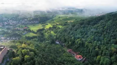 Naturlandschaft in der Nähe der Ferienwohnung
