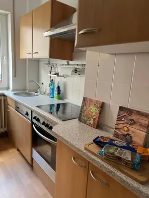 Küche/Küchenzeile in der Unterkunft Living Lu - cosy Apartment two - Netflix - nähe Mannheim - BASF - 2 Zimmer