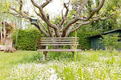 Ein Garten an der Unterkunft Fernwohl Kürnbach