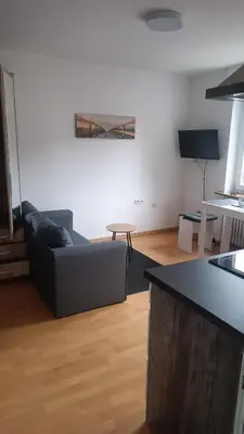 TV/Unterhaltungsangebot in der Unterkunft Fridolin