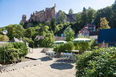 Ein Garten an der Unterkunft Hotel am Schloss