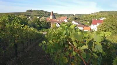 Naturlandschaft in der Nähe der Ferienwohnung