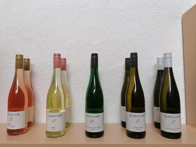 Grundriss der Unterkunft Weinstrassenblick